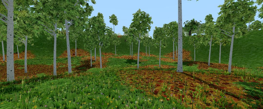 Bright birch grove