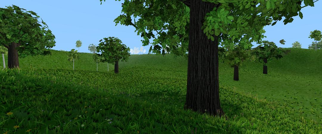 Sunny meadow with grass and wildflowers